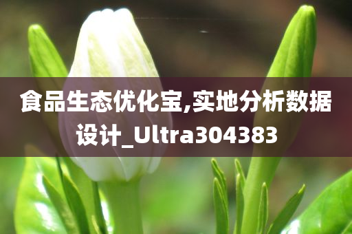食品生态优化宝,实地分析数据设计_Ultra304383