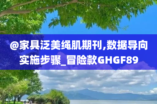 @家具泛美绳肌期刊,数据导向实施步骤_冒险款GHGF89