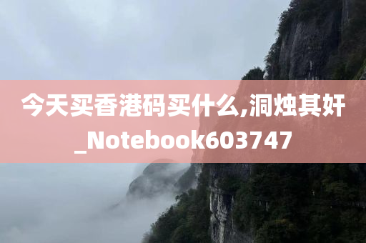 今天买香港码买什么,洞烛其奸_Notebook603747