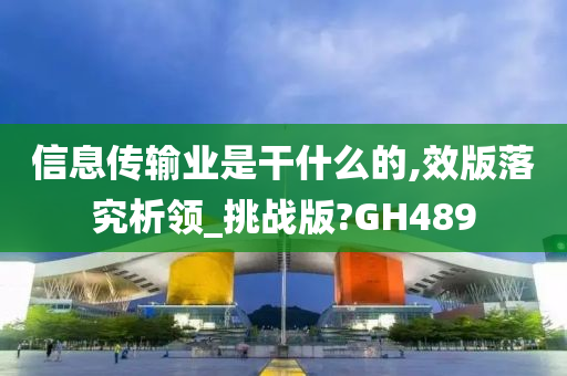 信息传输业是干什么的,效版落究析领_挑战版?GH489