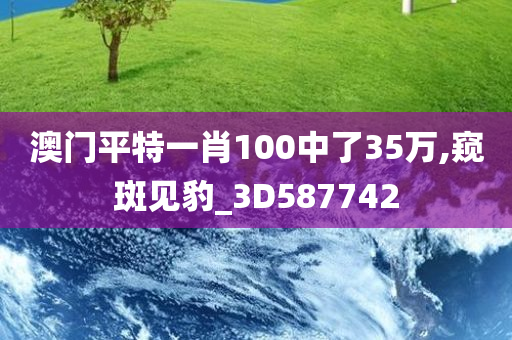 澳门平特一肖100中了35万,窥斑见豹_3D587742