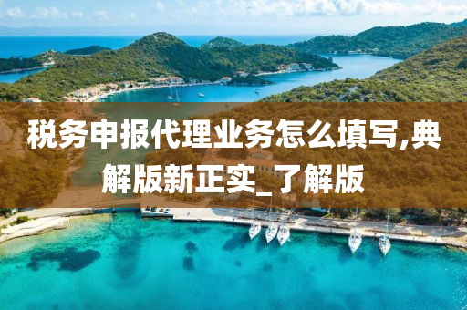 税务申报代理业务怎么填写,典解版新正实_了解版
