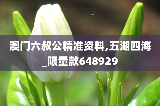澳门六叔公精准资料,五湖四海_限量款648929