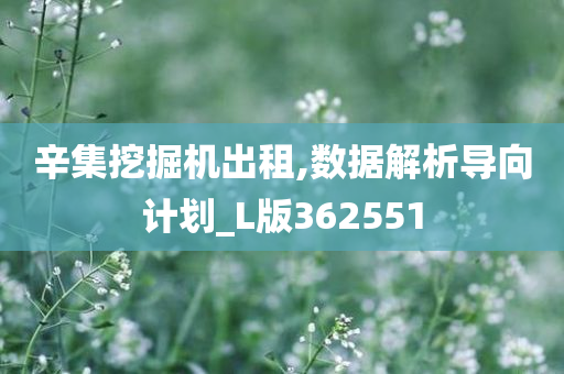 辛集挖掘机出租,数据解析导向计划_L版362551