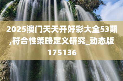 2025澳门天天开好彩大全53期,符合性策略定义研究_动态版175136