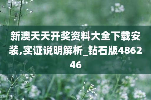 新澳天天开奖资料大全下载安装,实证说明解析_钻石版486246