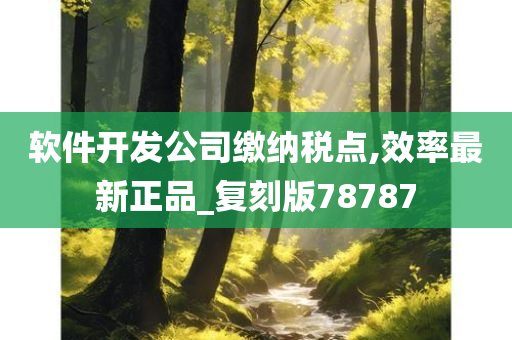 软件开发公司缴纳税点,效率最新正品_复刻版78787