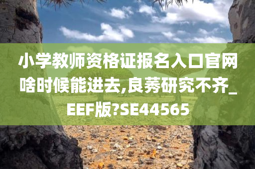 小学教师资格证报名入口官网啥时候能进去,良莠研究不齐_EEF版?SE44565