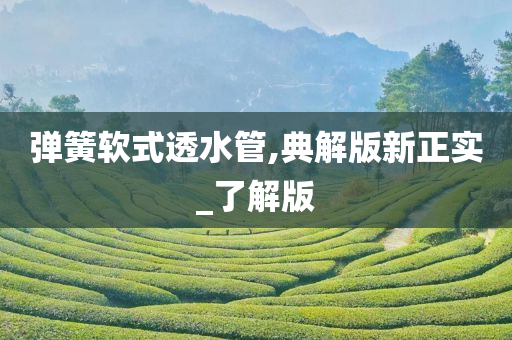 新正实