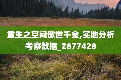 重生之空间傲世千金,实地分析考察数据_Z877428