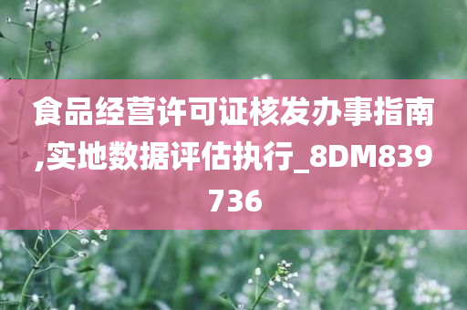 食品经营许可证核发办事指南,实地数据评估执行_8DM839736