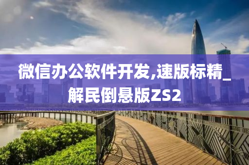 微信办公软件开发,速版标精_解民倒悬版ZS2