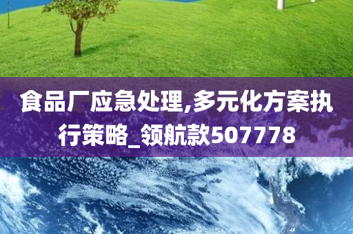 食品厂应急处理,多元化方案执行策略_领航款507778