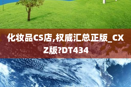 化妆品CS店,权威汇总正版_CXZ版?DT434
