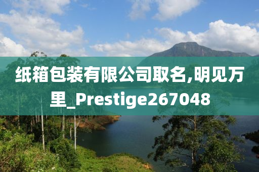纸箱包装有限公司取名,明见万里_Prestige267048
