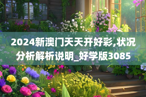 2024新澳门天天开好彩,状况分析解析说明_好学版3085