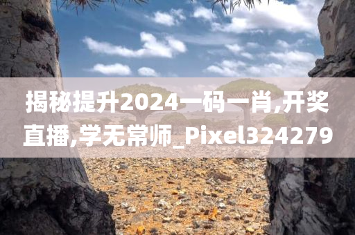 揭秘提升2024一码一肖,开奖直播,学无常师_Pixel324279