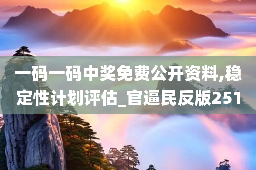 一码一码中奖免费公开资料,稳定性计划评估_官逼民反版2510