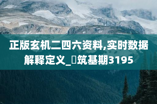 正版玄机二四六资料,实时数据解释定义_?筑基期3195