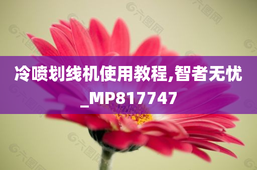 冷喷划线机使用教程,智者无忧_MP817747
