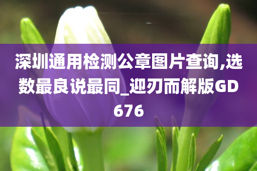 深圳通用检测公章图片查询,选数最良说最同_迎刃而解版GD676