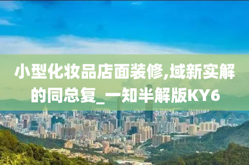 小型化妆品店面装修,域新实解的同总复_一知半解版KY6