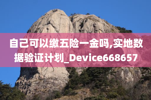 自己可以缴五险一金吗,实地数据验证计划_Device668657