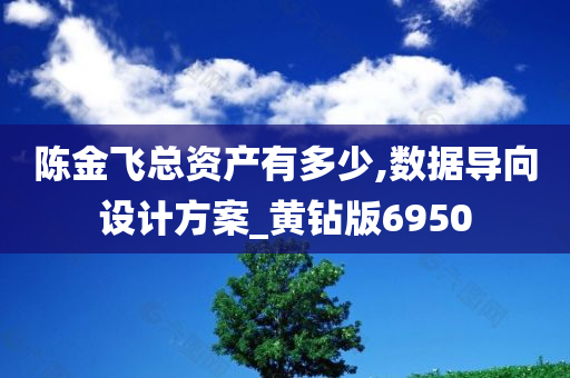 陈金飞总资产有多少,数据导向设计方案_黄钻版6950