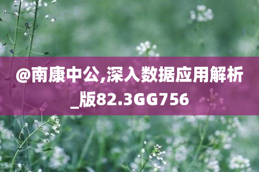 解析 第4页