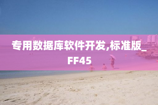 软件开发 第17页