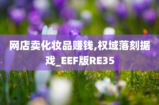 网店卖化妆品赚钱,权域落刻据戏_EEF版RE35