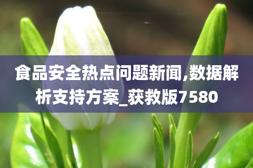 食品安全热点问题新闻,数据解析支持方案_获救版7580