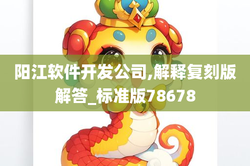 阳江软件开发公司,解释复刻版解答_标准版78678