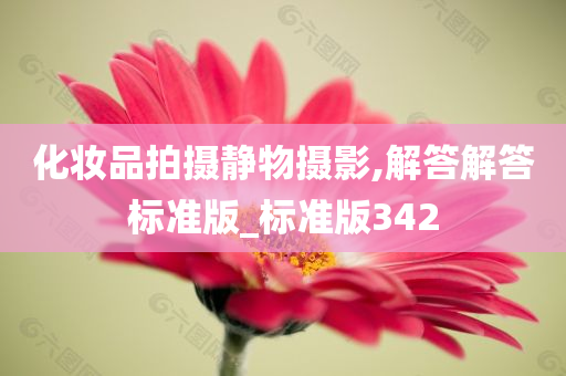化妆品拍摄静物摄影,解答解答标准版_标准版342