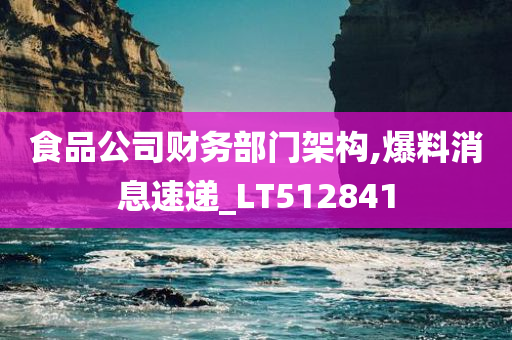 食品公司财务部门架构,爆料消息速递_LT512841