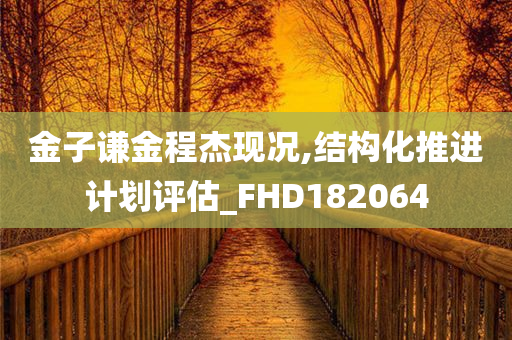 金子谦金程杰现况,结构化推进计划评估_FHD182064