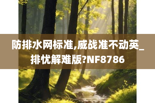防排水网