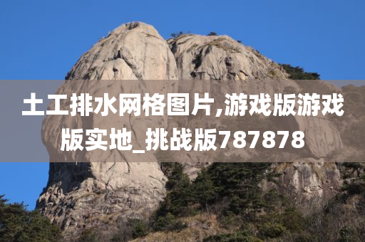 土工排水网格图片,游戏版游戏版实地_挑战版787878今晚必出三肖2025_2025新澳门精准免费提供·精确判断