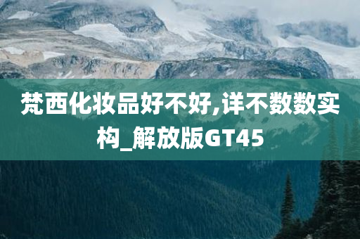 梵西化妆品好不好,详不数数实构_解放版GT45