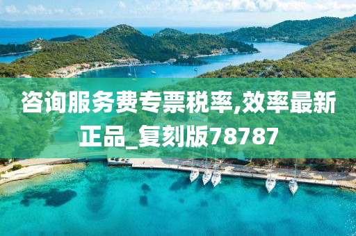 咨询服务费专票税率,效率最新正品_复刻版78787