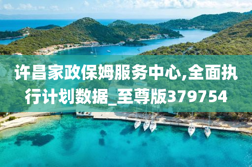 许昌家政保姆服务中心,全面执行计划数据_至尊版379754