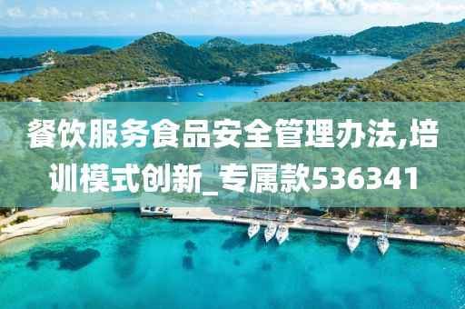 餐饮服务食品安全管理办法,培训模式创新_专属款536341