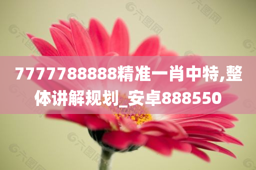 7777788888精准一肖中特,整体讲解规划_安卓888550