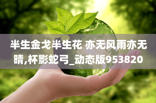 半生金戈半生花 亦无风雨亦无晴,杯影蛇弓_动态版953820
