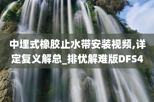 中埋式橡胶止水带安装视频,详定复义解总_排忧解难版DFS4