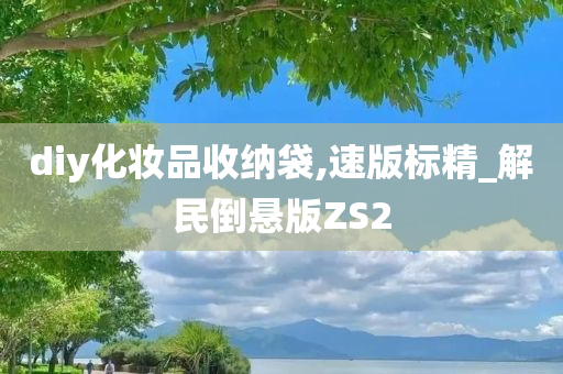 diy化妆品收纳袋,速版标精_解民倒悬版ZS2