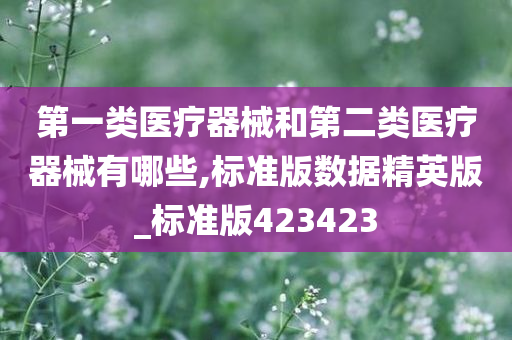 第一类医疗器械和第二类医疗器械有哪些,标准版数据精英版_标准版423423今晚必出三肖2025_2025新澳门精准免费提供·精确判断