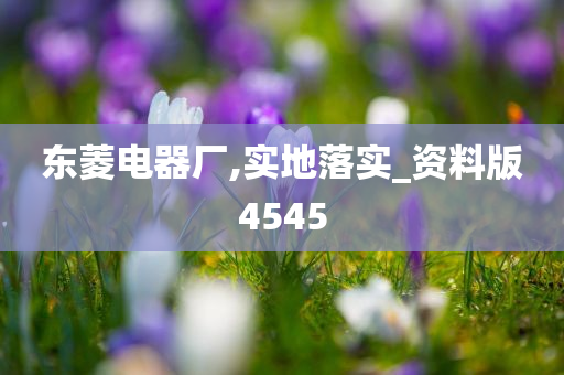 东菱电器厂,实地落实_资料版4545
