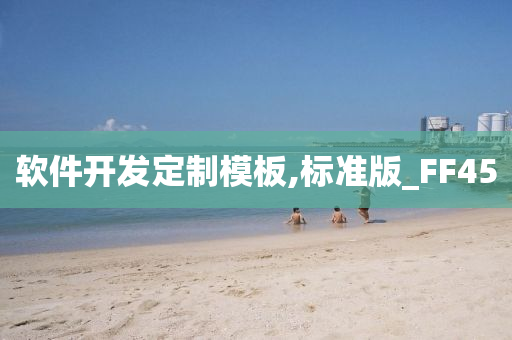 软件开发定制模板,标准版_FF45