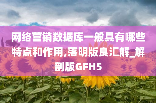 网络营销数据库一般具有哪些特点和作用,落明版良汇解_解剖版GFH5